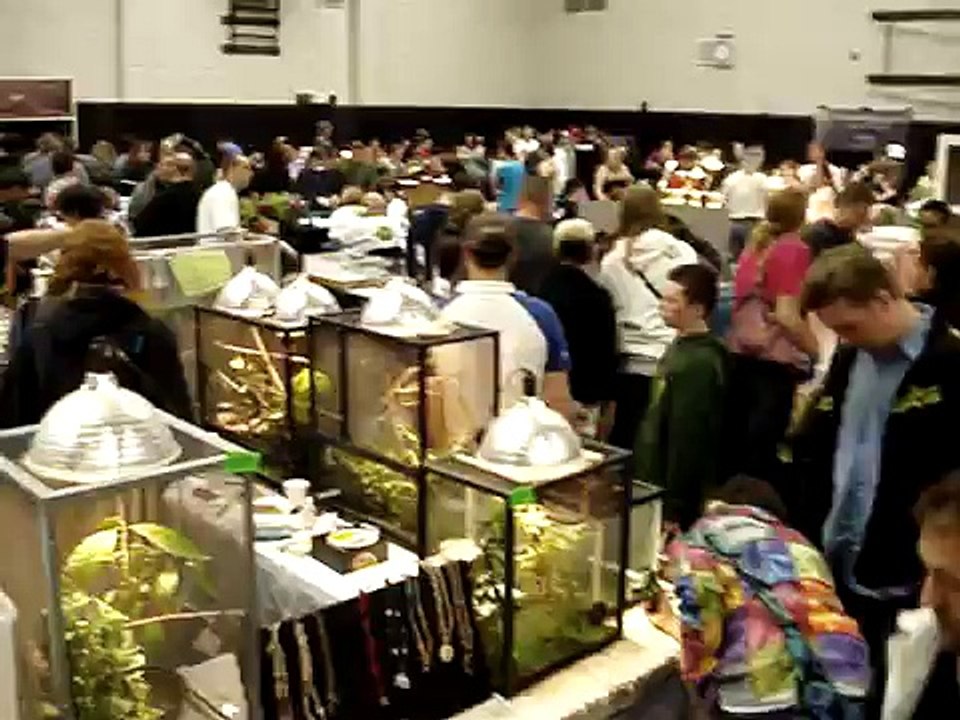 Seattle Reptile Expo 2012