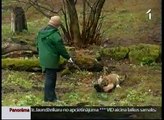 Publiskā pastaigā dodas pirmais Rīgas Zoo dzimušais tīģerēns