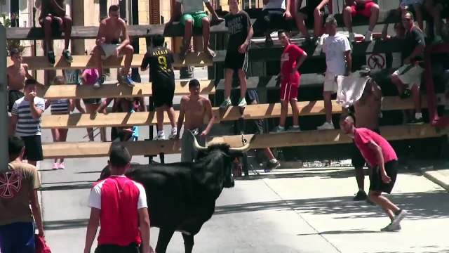 BOUS AL CARRER GODELLA 2013 ENTRADA Y PRUEBA DE GANAO Toro Ganaderia Asensi Godella V) 11 Agosto 201