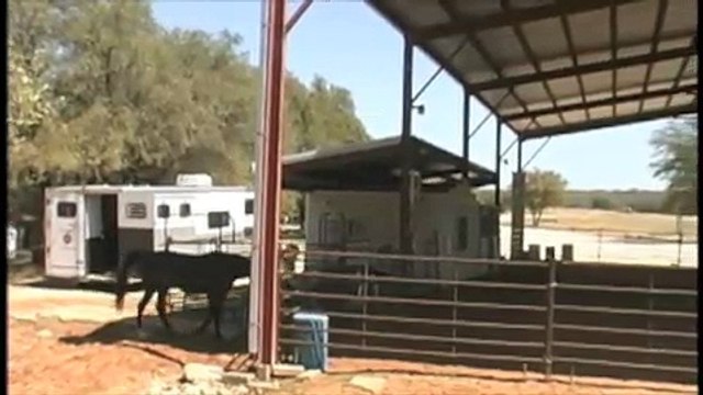 Christi Rains, Parelli 4-Star, and Annie Level 4 Liberty Audition PASSED LEVEL 4!!!!