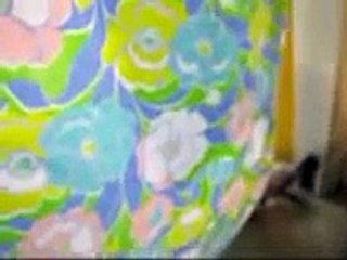 Santa Baby parody: Tofu Baby...improv song about Birman ukulele playing kitten