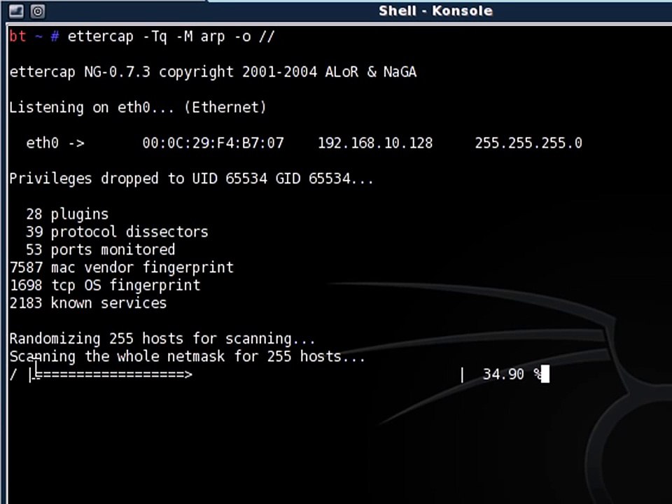 DNS Spoofing + Arp poisoning  www.sitehackers.com.br