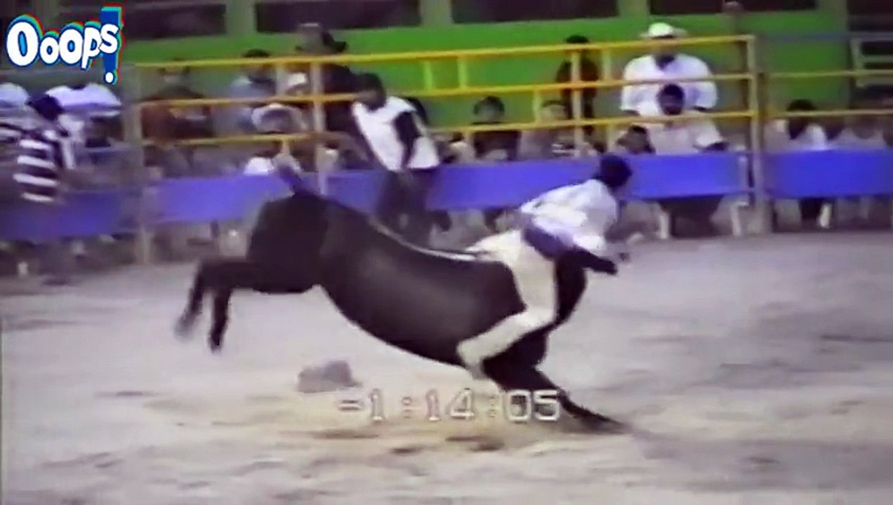 FUNNY Fails & Bloopers - Best Funny Home Videos - Funny Videos 2015