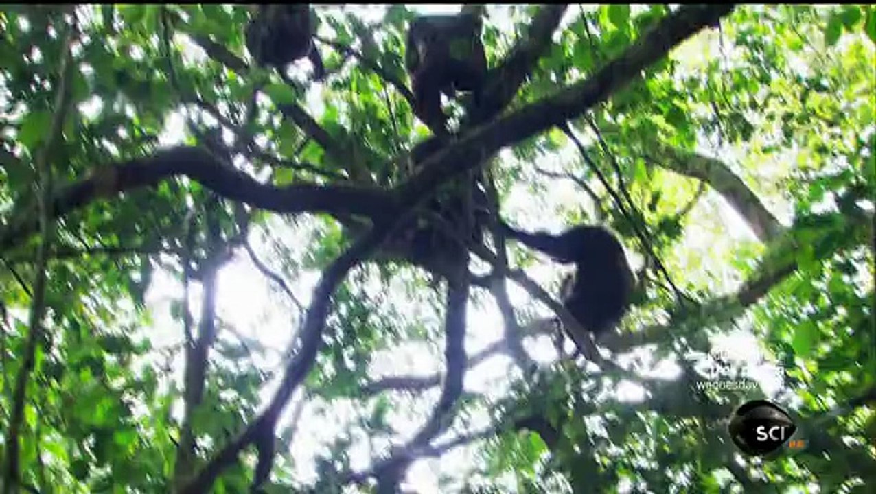 Human Nature ~ Born To Kill