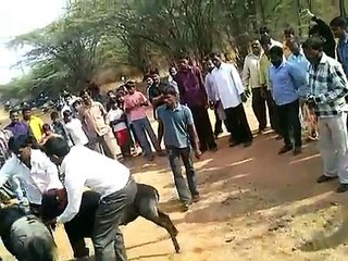 SHIP FIGHTING IN HYDERABAD @ PREMAVATHIPET, RAJENDRANAGAR ON 06-01-2013