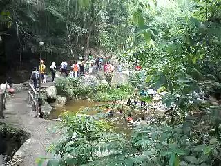 Camping and Hiking at Gunung Ledang (Mt. Ophir) Malaysia