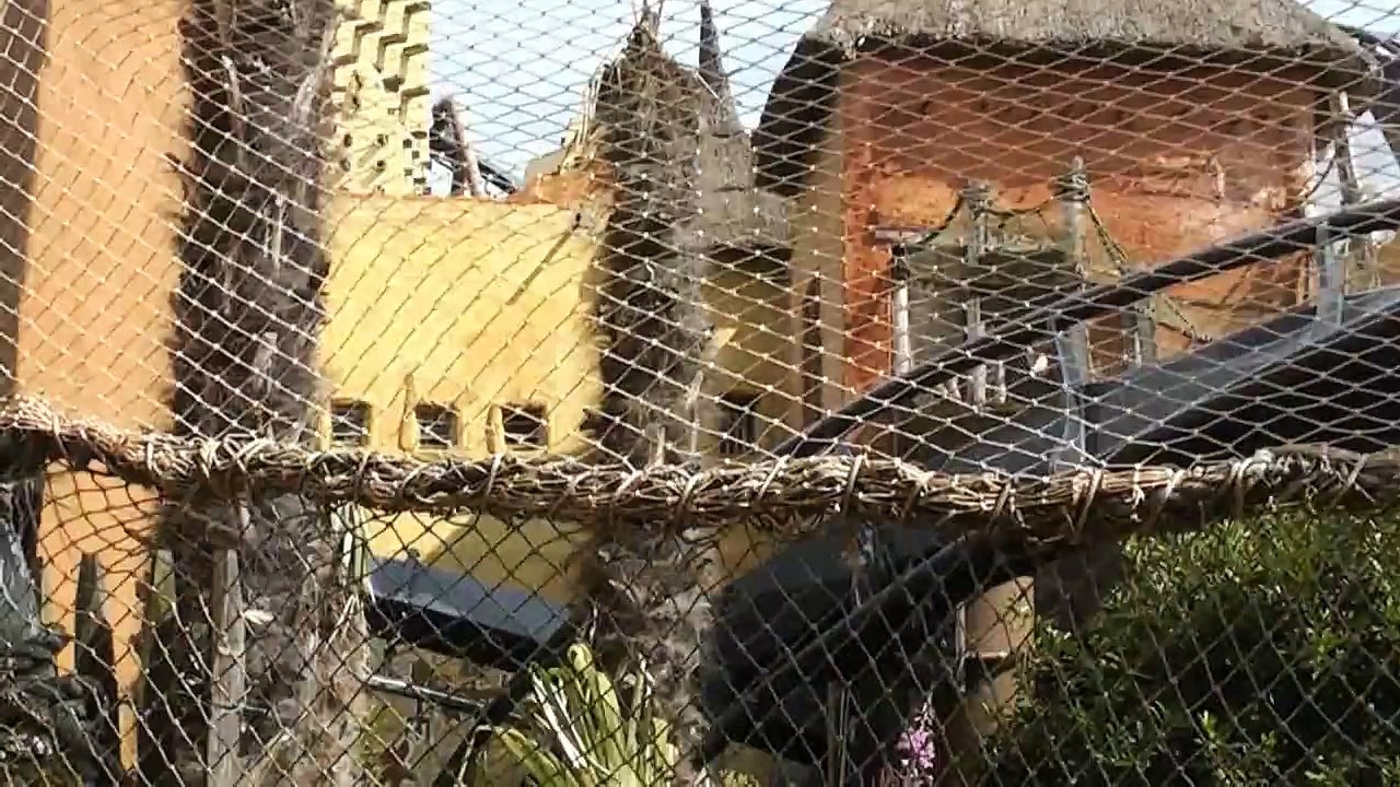 Phantasialand Parkvideo