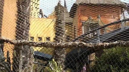 Phantasialand Parkvideo