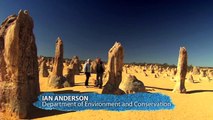 Pinnacles Desert Discovery  - Top Tourist Parks - Discover Downunder