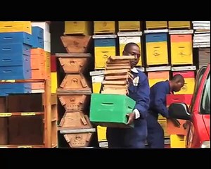 African Beekeepers .mp4
