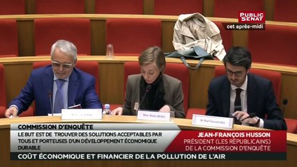 Audition - Commission d'enquête sur le coût économique et financier de la pollution de l'air