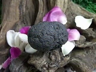 khasiat batu petir asli