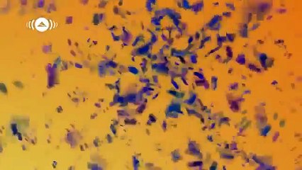 ماشاء الله اجمل فرحه ماهر زين بدون موسيقى