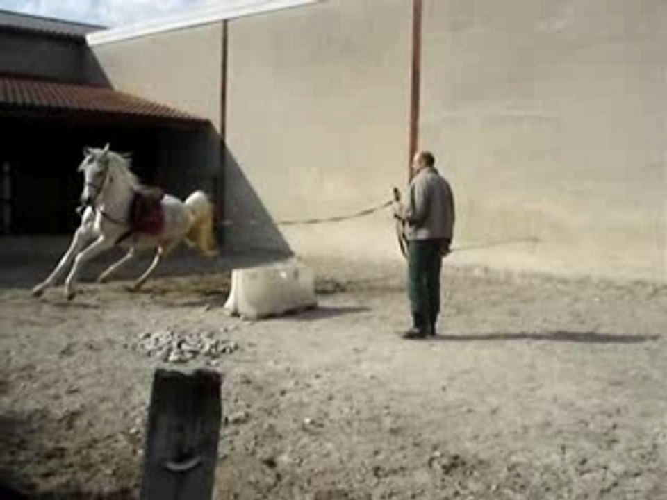 MOV02816