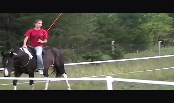 Anna Hill's Parelli Freestyle Level 3 Audition ~ PASSED L3++!!!