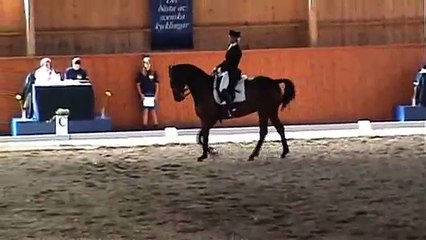 Dressyr FEI Prix S:t Georges