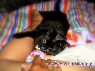 Puss...Puss.......PUSSY Cat!