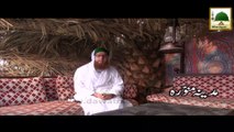 Madani Phool - Madina-e-Munawwara Say Majlis Kay Bad Ki Dua Kay Muta-alliq Madani Phool