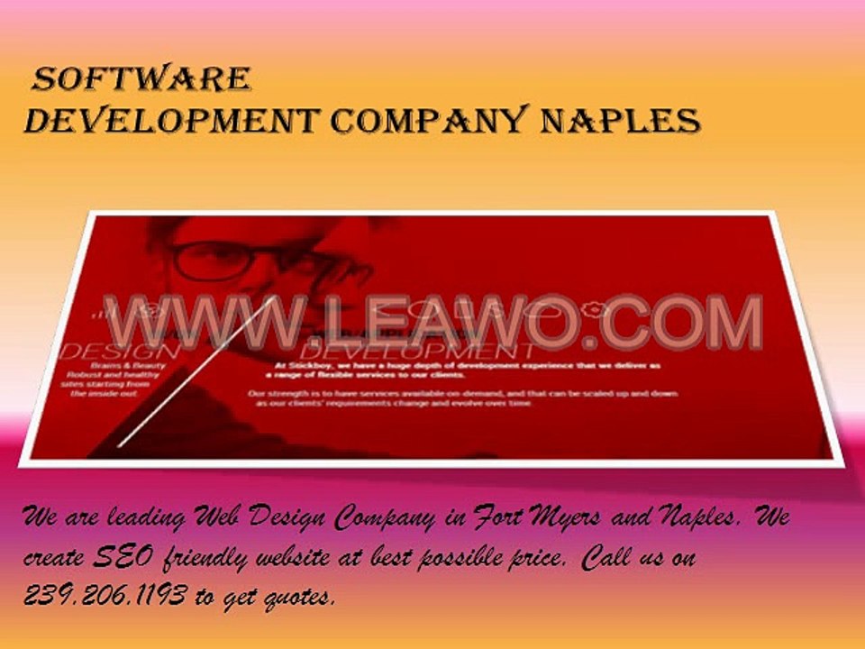 Software Development company fort myers