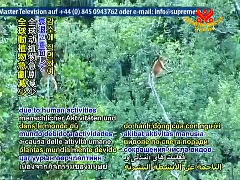 SAVE OUR PLANET - Endangered species can be saved, says UN scientist