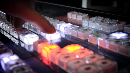 Clip Télif, la Télévision de tous les Franciliens