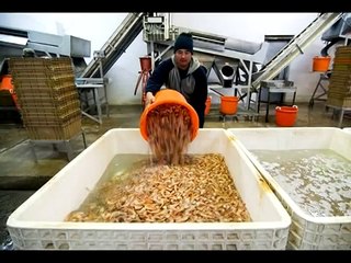 You're Gonna Miss Me