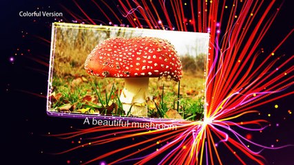 After Effects Project Files - Pretty Beam Show - VideoHive 9009904