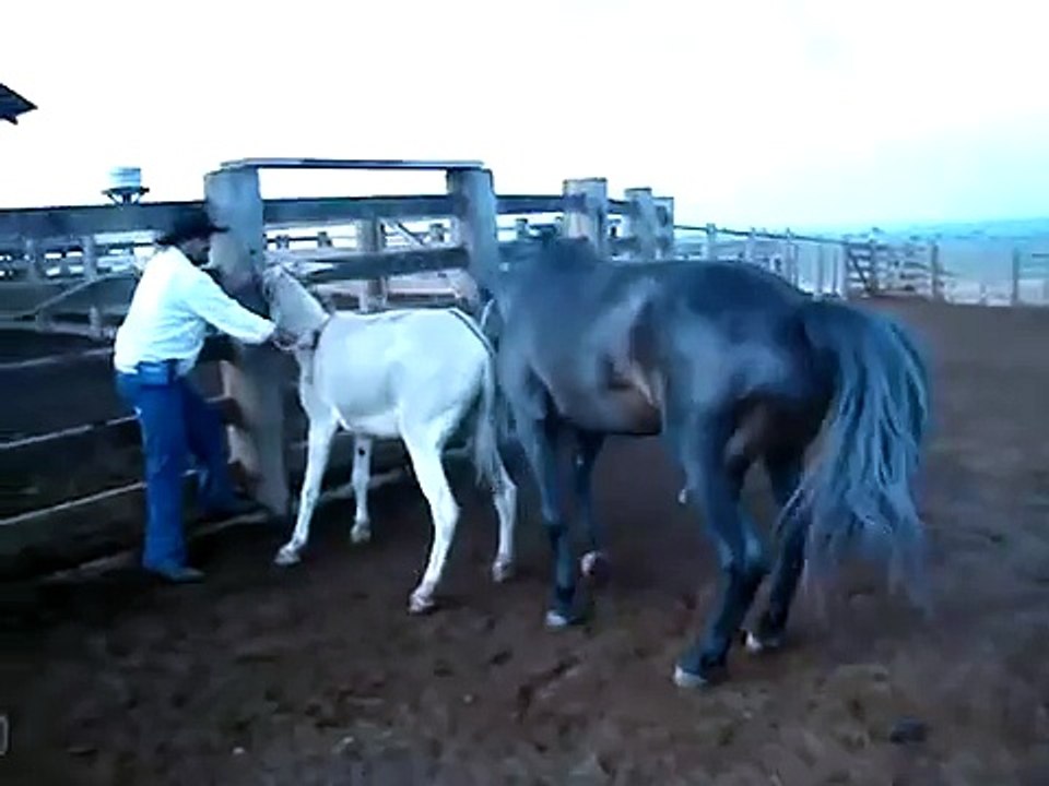 Aguenta Negão........