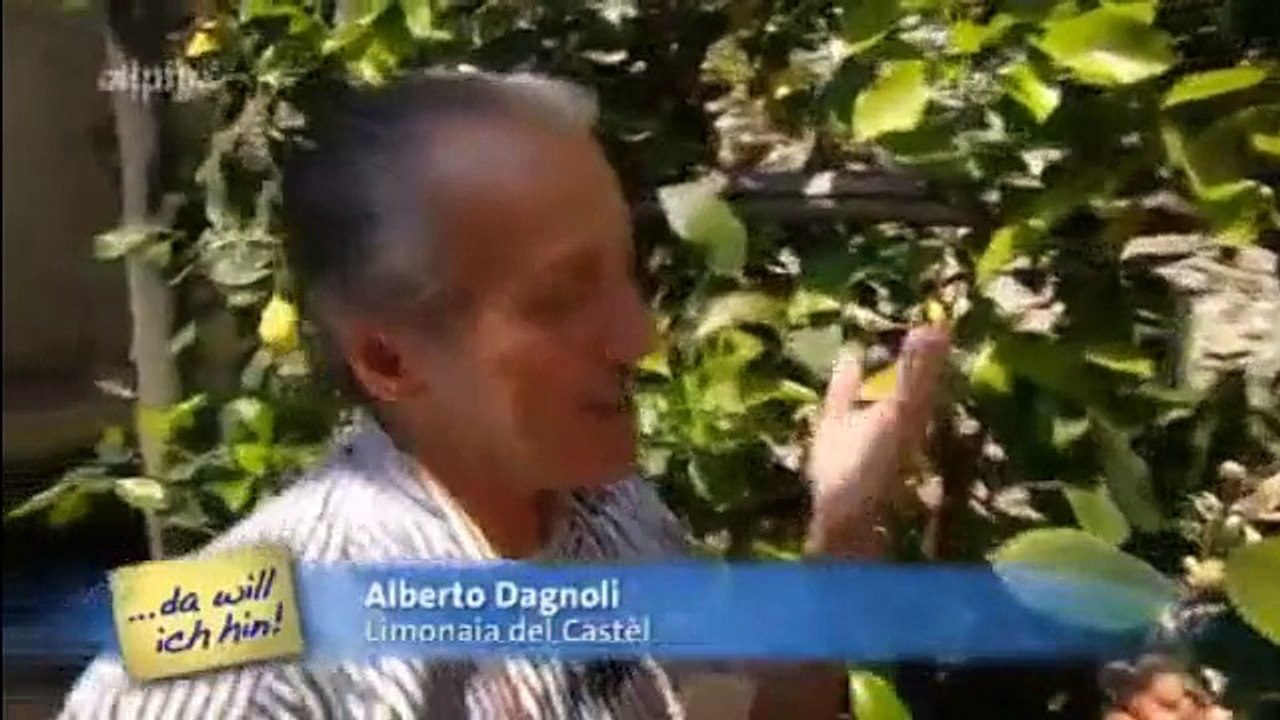 Gardasee, da will ich hin!