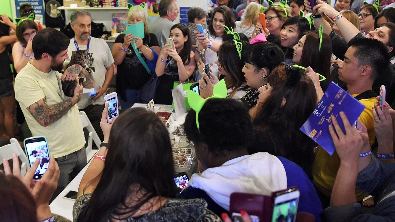 Verrückt nach Katzen - CatCon in Los Angeles