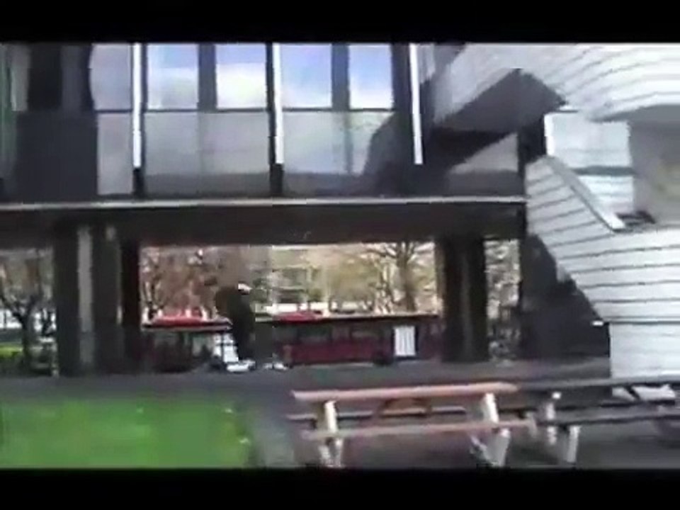 SNAP vd PADURARU "exterminate vs. masterpiece"