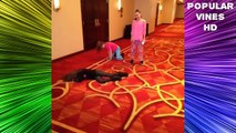 Maddie & Mackenzie Ziegler All Vines