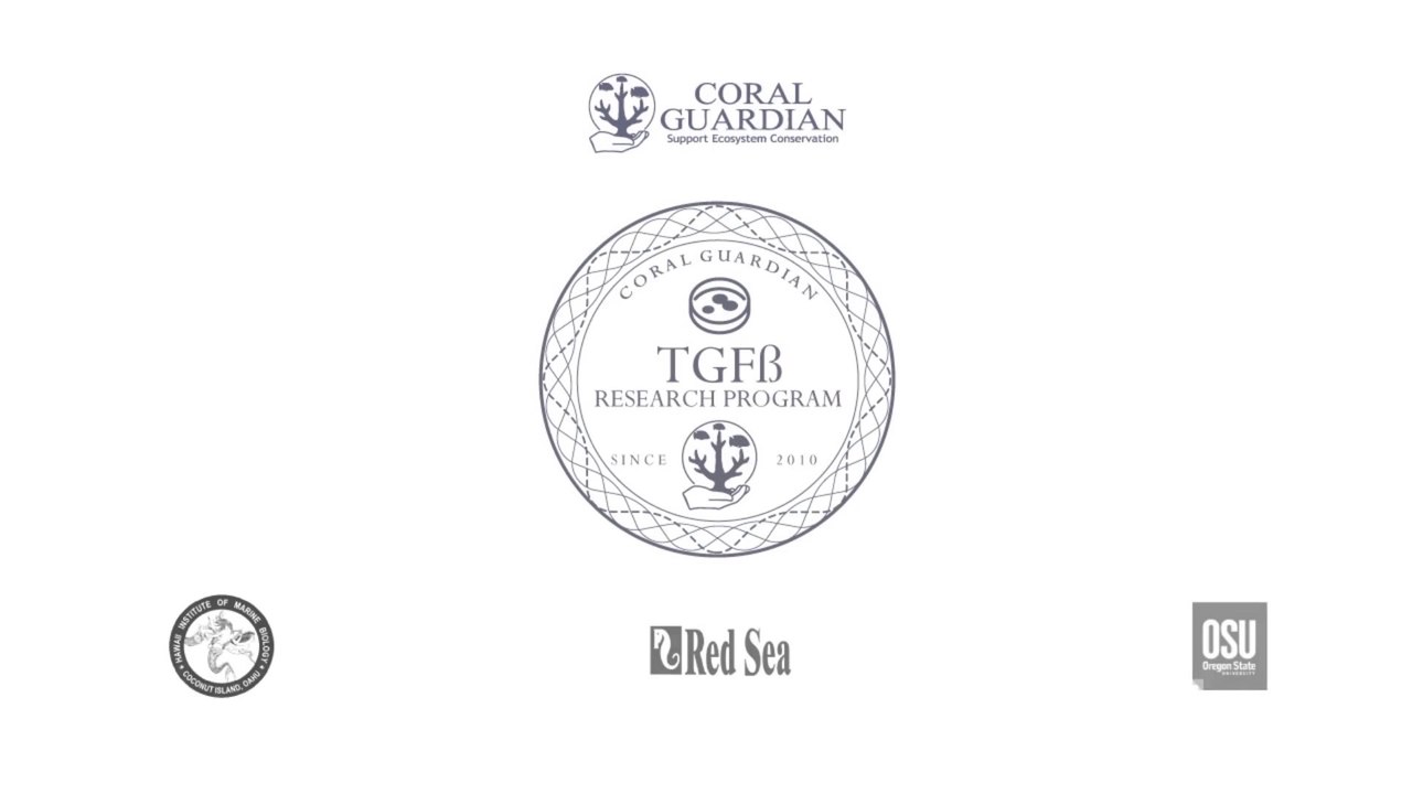 TGFbeta research program on corals - Coral Guardian