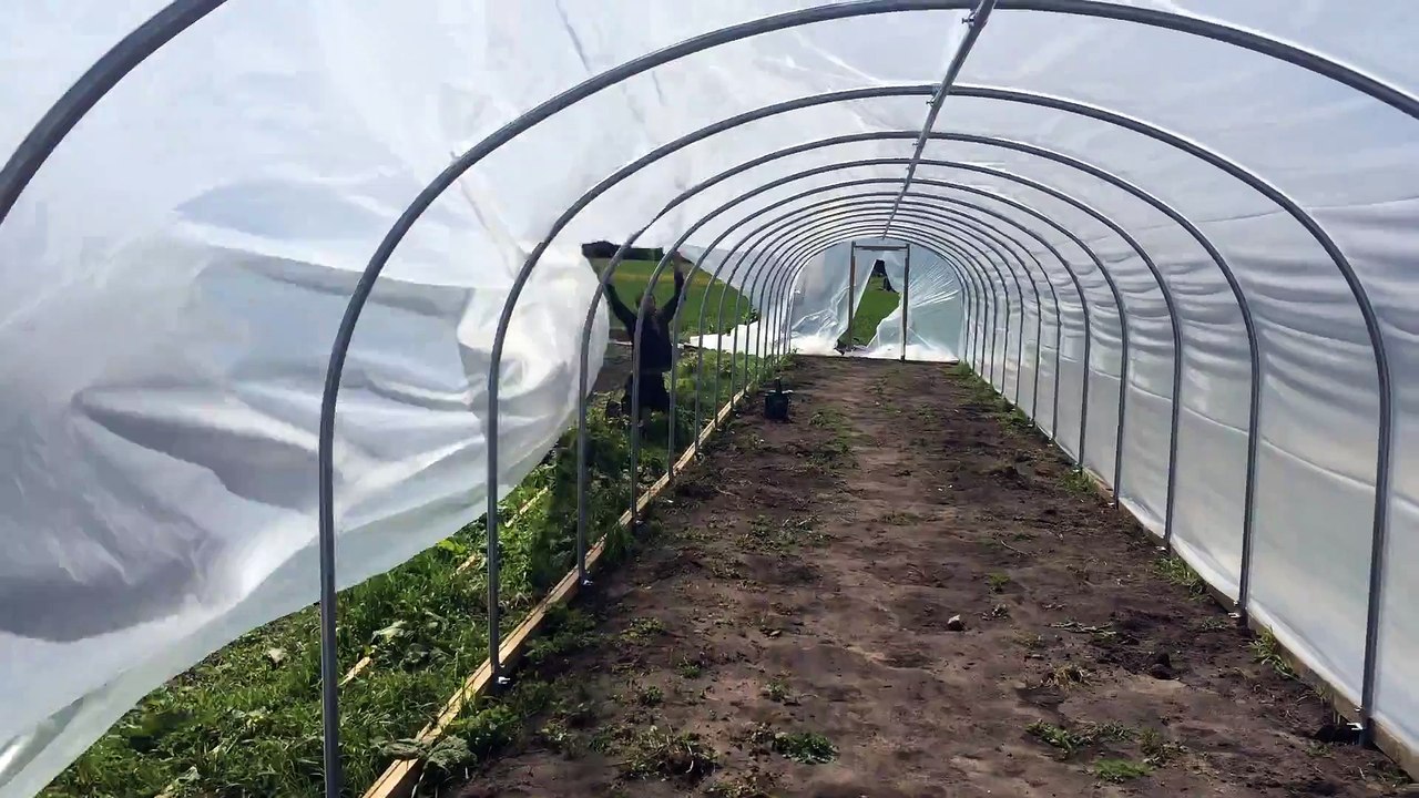 A windy day for Polytunneling