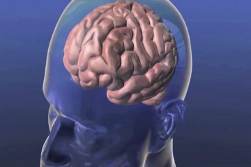2030, año en que los cerebros se conectarán con la nube