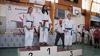 Challenge 2015 saulnois