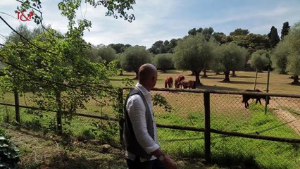 Splash painter for your upscale events