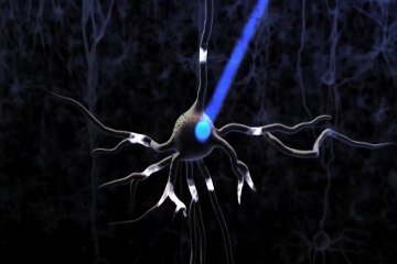 Cerebros conectados a la nube dentro de 15 años