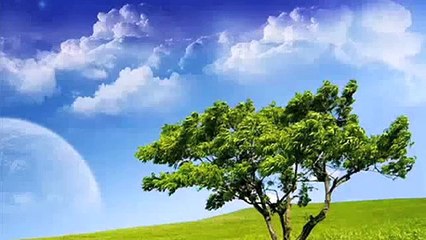 Yusuf Islam 99 Names of Allah