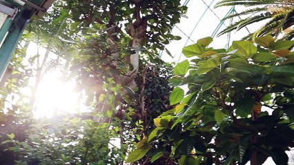 Des lunettes pour les geeks qui ont du style