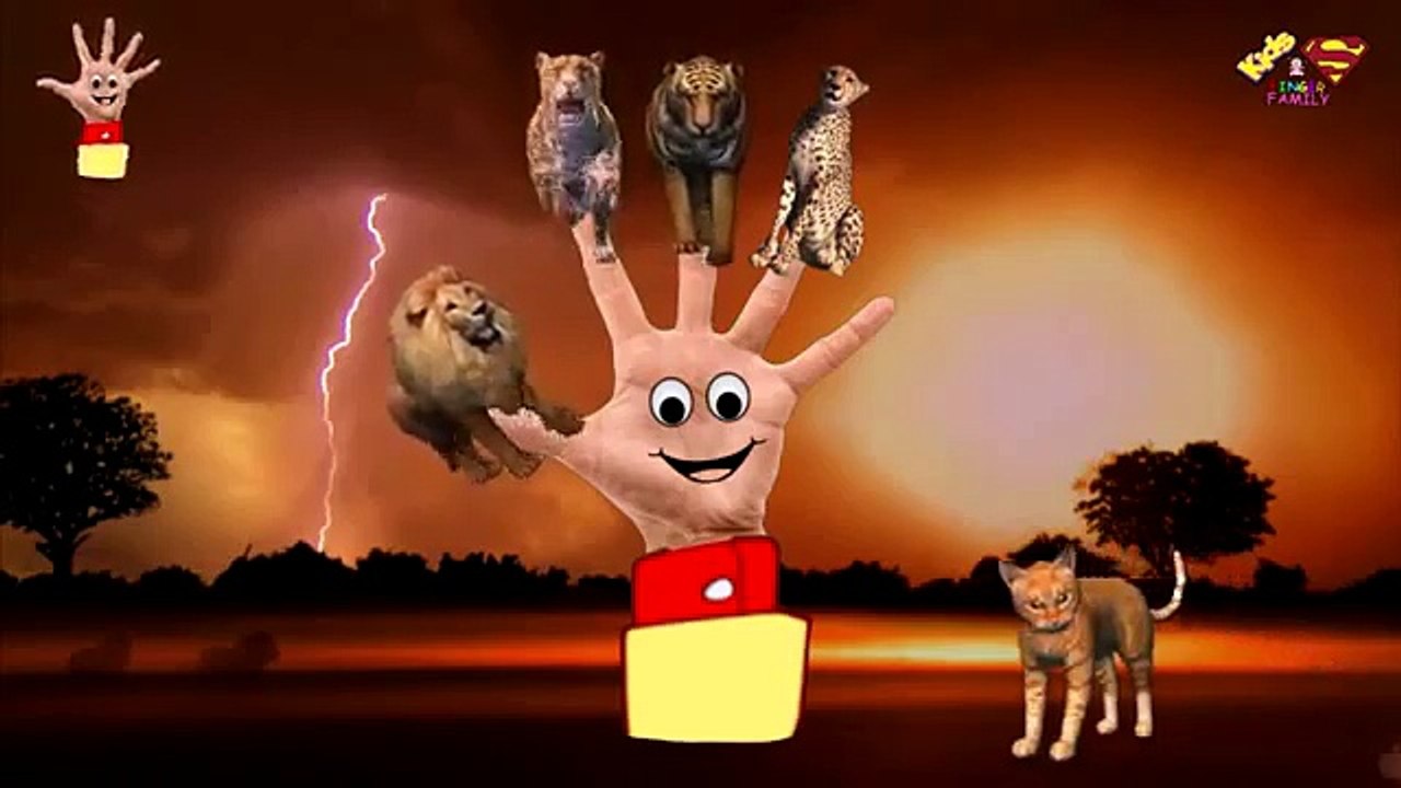 The Finger Family 3D Lion, Tiger, Cheetah,Cat - 3D Animals Collection Rhymes for Pre School