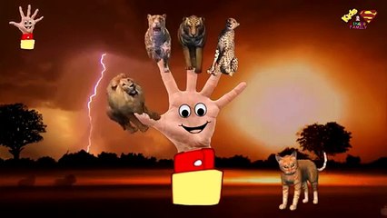 The Finger Family 3D Lion, Tiger, Cheetah,Cat - 3D Animals Collection Rhymes for Pre School