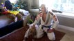 Un Pitbull comme sparring partner en Jiu Jitsu : dingue