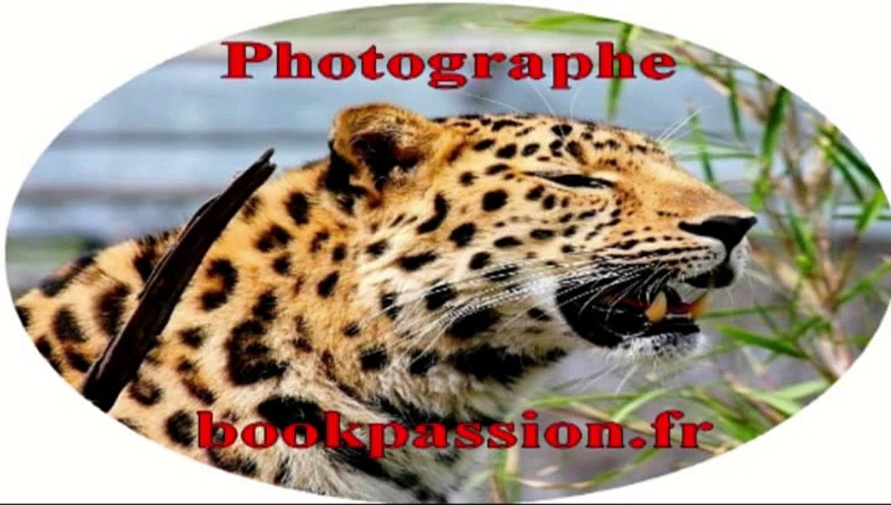 shooting photo