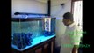 Marine Aquarium in Chennai design By Jabbar Aquarium Design India (Spencer Plaza)