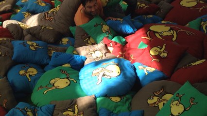 Les couss poussins ont rejoint l'orangerie