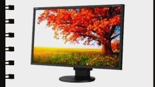 NEC EA224WMI-BK 21.5-Inch Screen LED-Lit Monitor