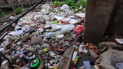 Expédition 7e continent