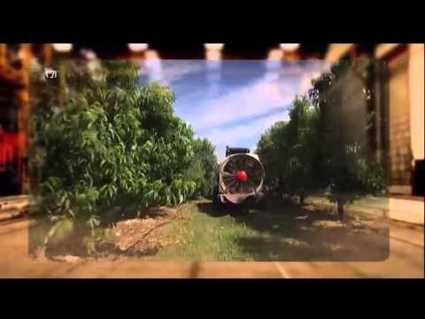 TV3 - Dimecres, a les 23.55, a TV3 - Tot sobre l'alimentació, aquest dimecres a Valor afegit