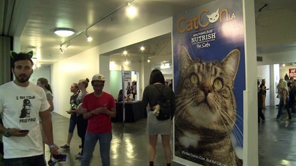 World's first 'Comic-Con for cat people' takes LA by storm